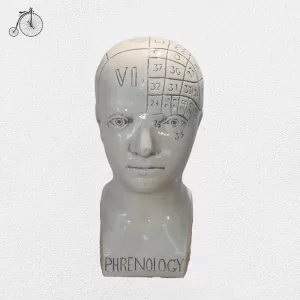 Testa "Phrenology" Anni '20