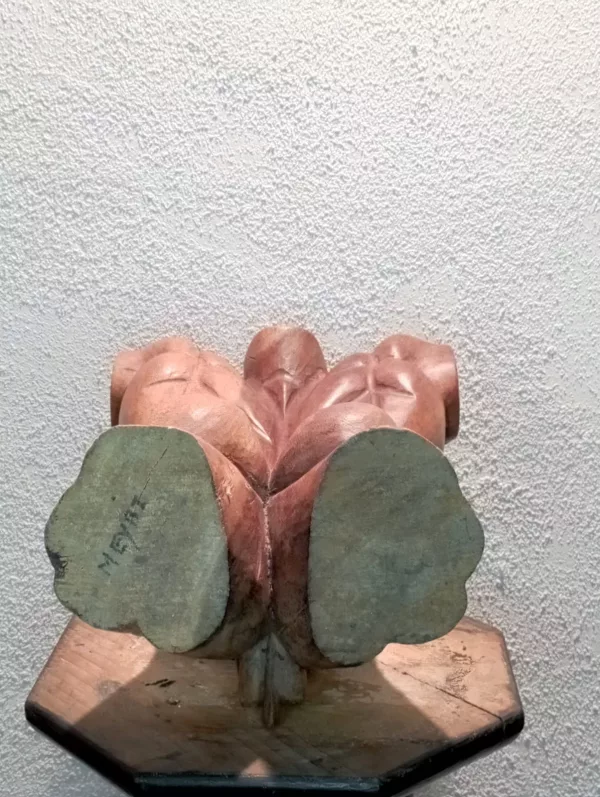Nudo Ligneo MEYBI Anni '70 - immagine 5