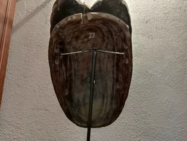 Maschera "Duofertilia" in Legno Anni '70 - immagine 3