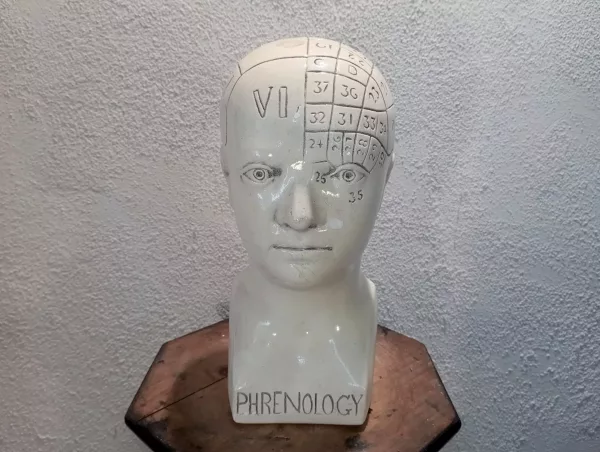 Testa "Phrenology" Anni '20 - immagine 2