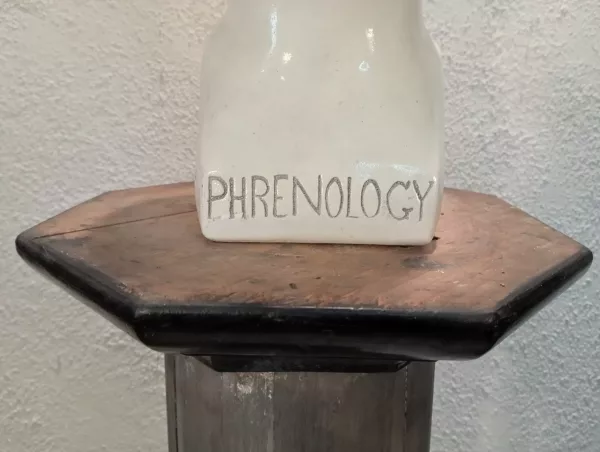 Testa "Phrenology" Anni '20 - immagine 3