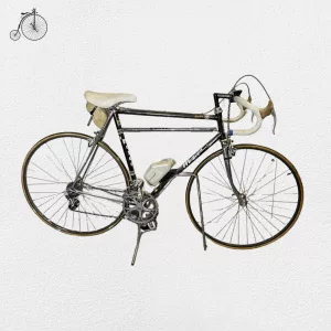 Bici Moser da Corsa Professionistica Anni '80