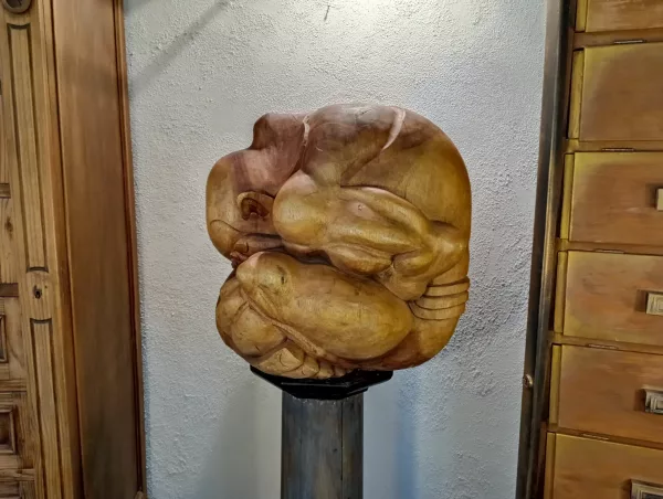 Grande Yogi Pensatore in Legno Massiccio - immagine 2