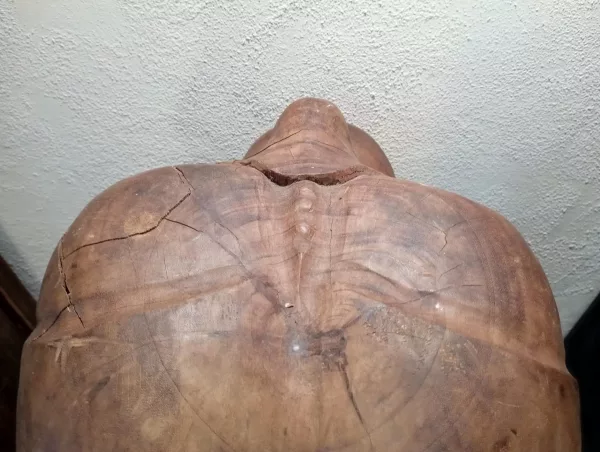 Grande Yogi Pensatore in Legno Massiccio - immagine 5