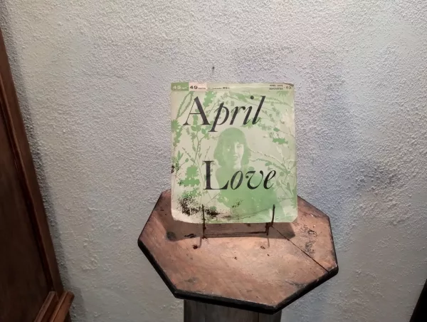 April Love by Silhouettes 45 Giri - immagine 3