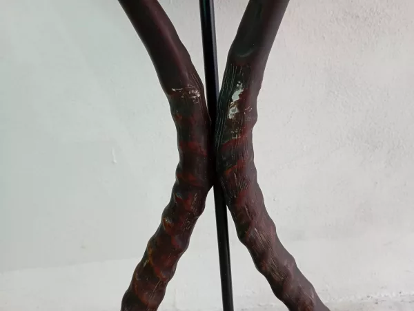 Coppia Lampade Corna di Antilope - immagine 4