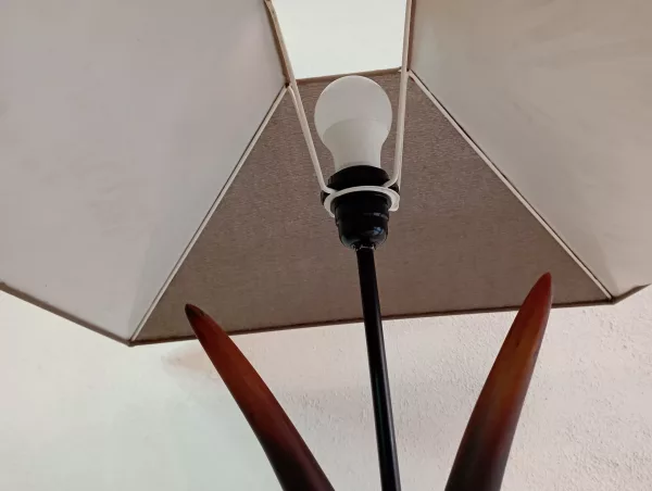 Coppia Lampade Corna di Antilope - immagine 5