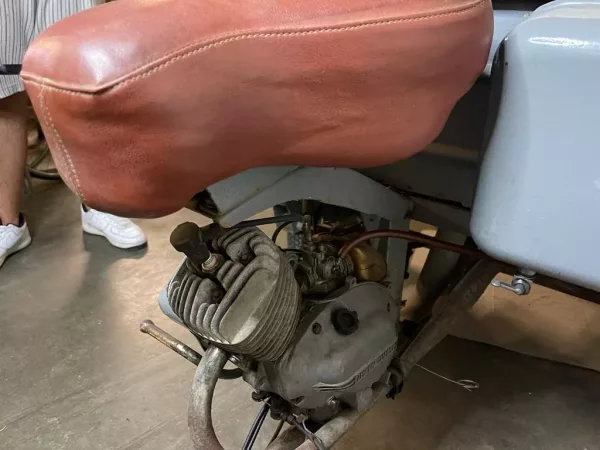 Ercolino Guzzi 1959 - immagine 7