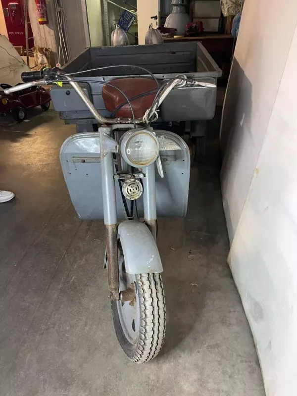 Ercolino Guzzi 1959 - immagine 3