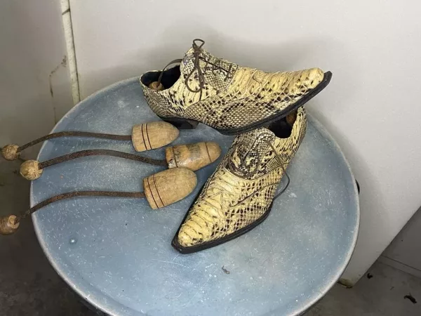 Scarpe Vintage Pitone con Calzanti - immagine 3