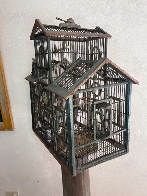 Gabbia Palazzo Comunale '800 - immagine 4