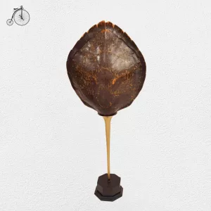 Lampada Design Carapace Anni '70