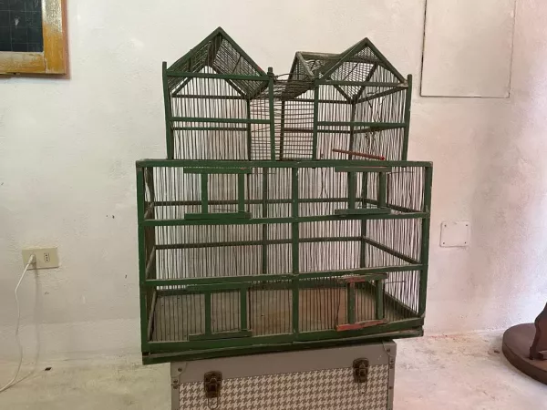 Grande Gabbia Fabbricato Verde - immagine 4