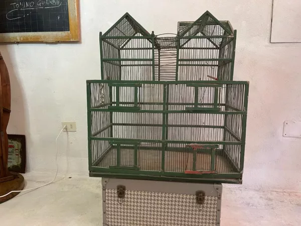 Grande Gabbia Fabbricato Verde - immagine 5