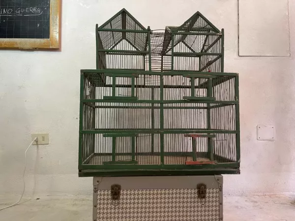 Grande Gabbia Fabbricato Verde - immagine 3
