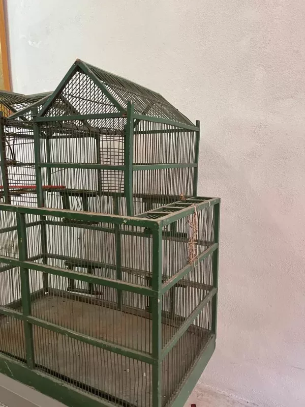Grande Gabbia Fabbricato Verde - immagine 7