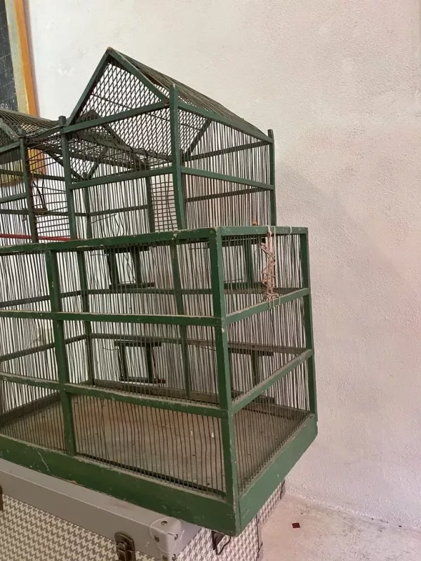 Grande Gabbia Fabbricato Verde - immagine 6