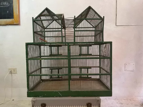 Grande Gabbia Fabbricato Verde - immagine 2