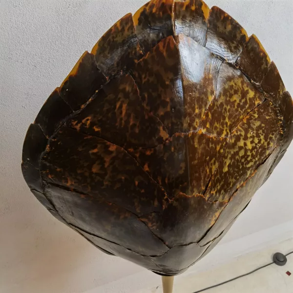 Lampada Design Carapace Anni '70 - immagine 6