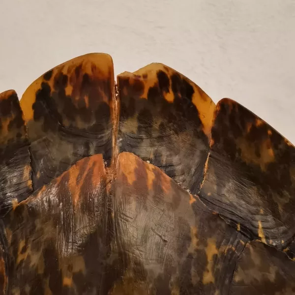Lampada Design Carapace Anni '70 - immagine 7