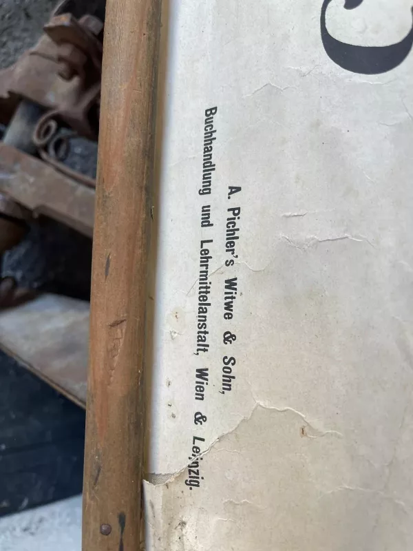 Stella Marina Cartina Didattica 1930 - immagine 7