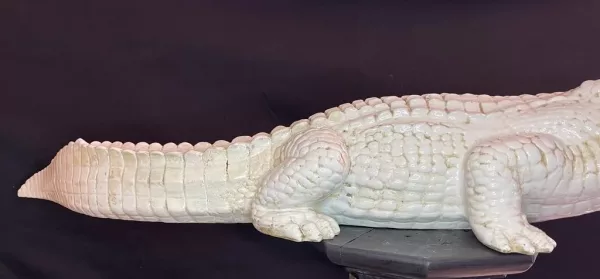 Grande Coccodrillo in Ceramica 1970 - immagine 7