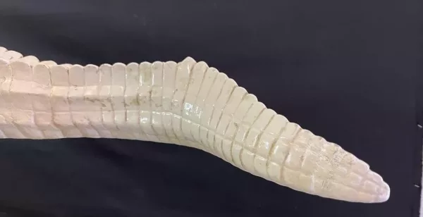Grande Coccodrillo in Ceramica 1970 - immagine 4