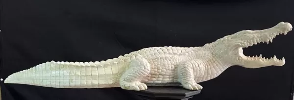 Grande Coccodrillo in Ceramica 1970 - immagine 2