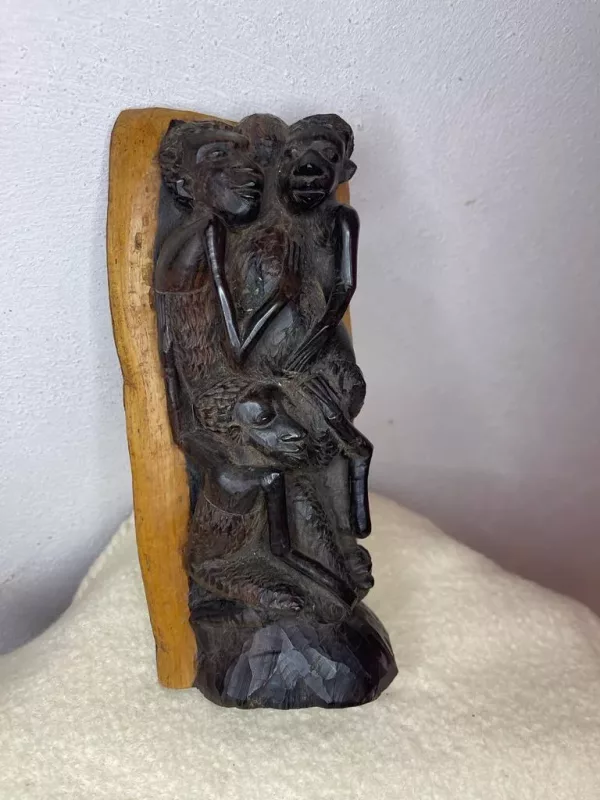 Scultura Africana Su Ebano 1920 - immagine 8