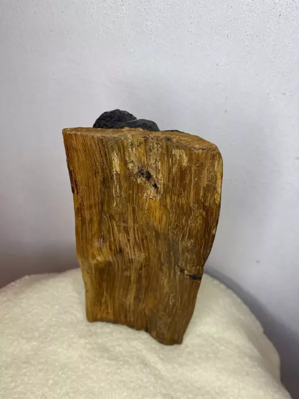 Scultura Africana Su Ebano 1920 - immagine 10