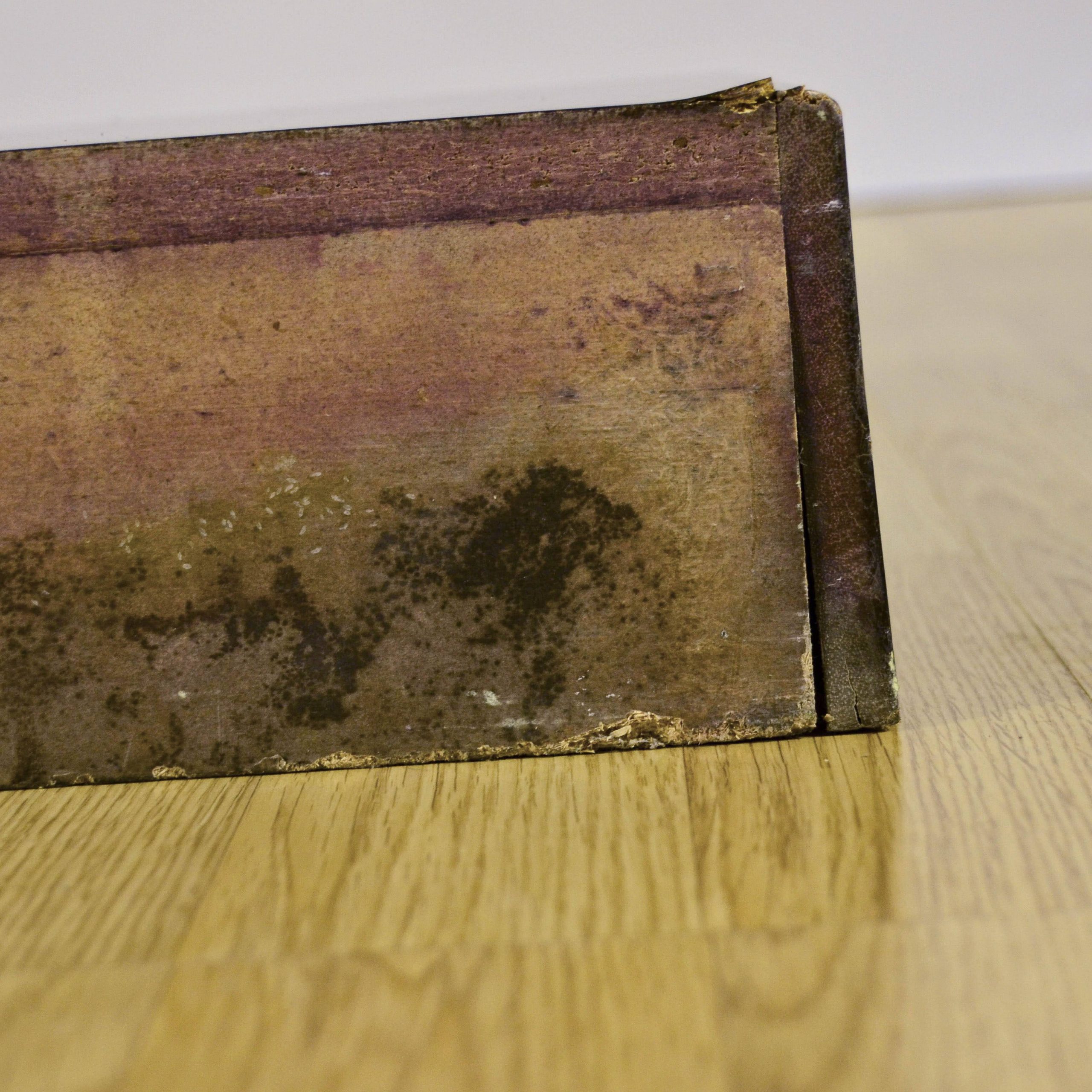 Appendiabiti Space Age di Carlo de Carli per SORMANI - immagine 19